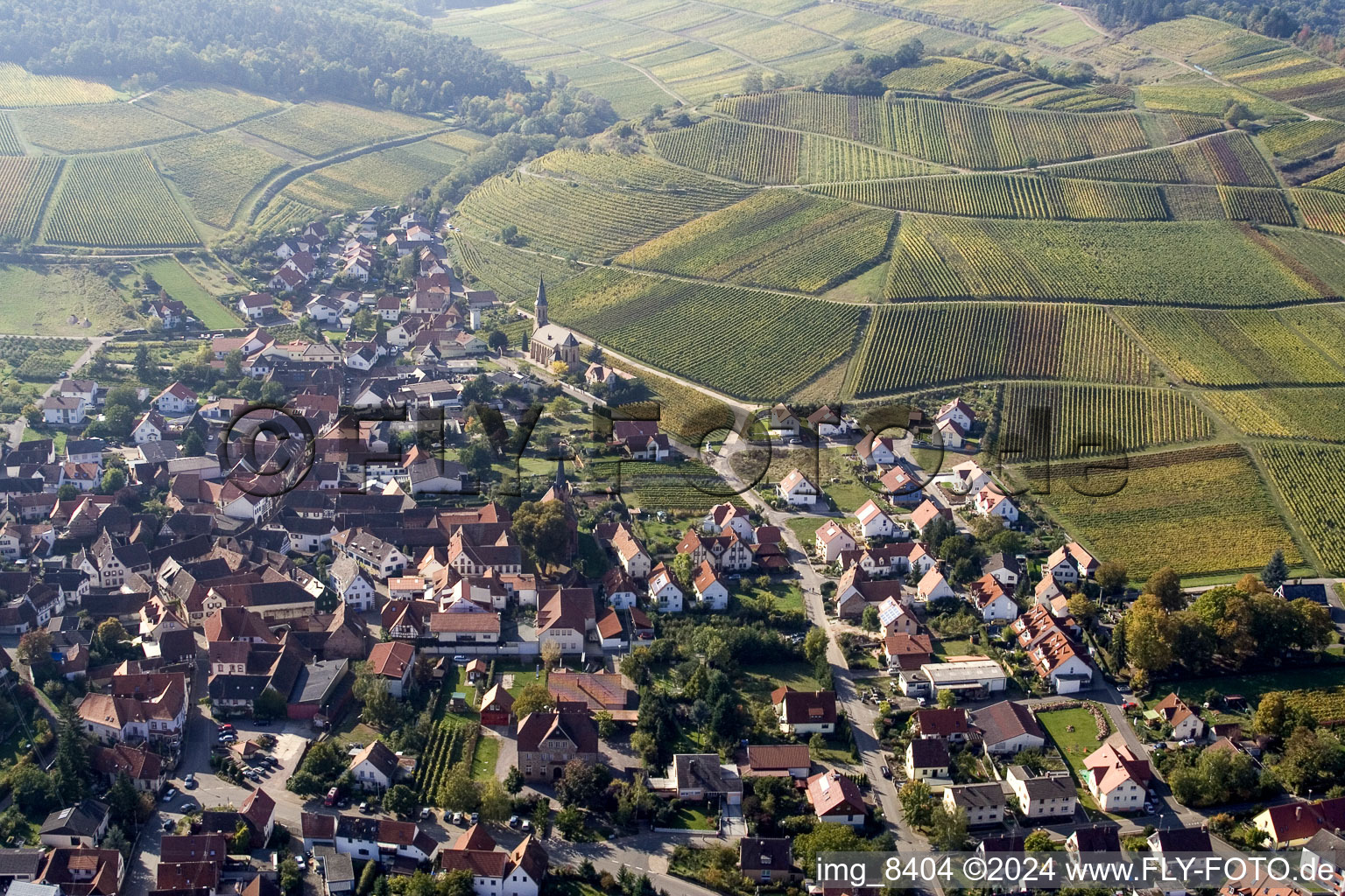 Birkweiler in the state Rhineland-Palatinate, Germany from the plane