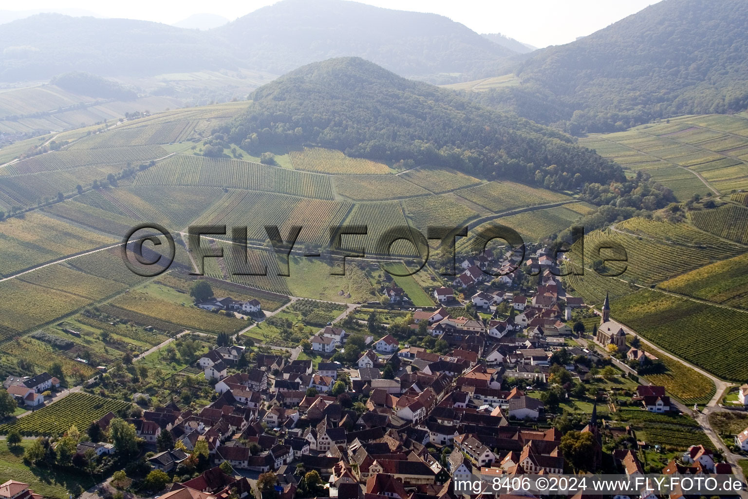 Chestnut bush in Birkweiler in the state Rhineland-Palatinate, Germany viewn from the air