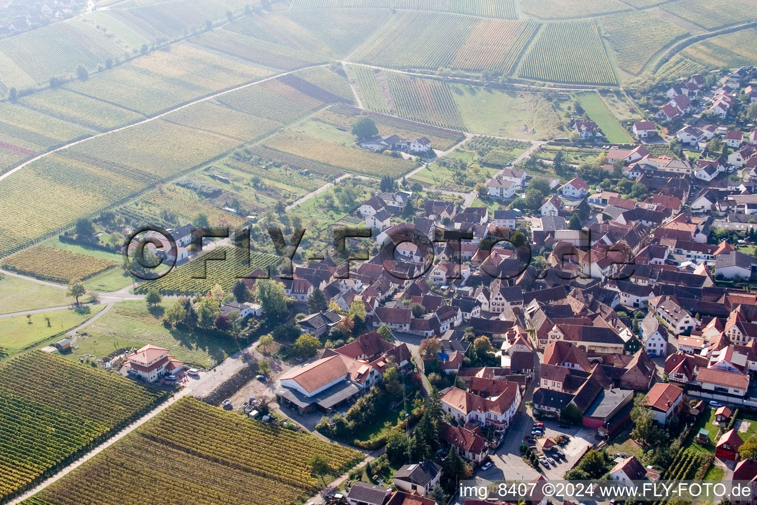 Birkweiler in the state Rhineland-Palatinate, Germany from the plane