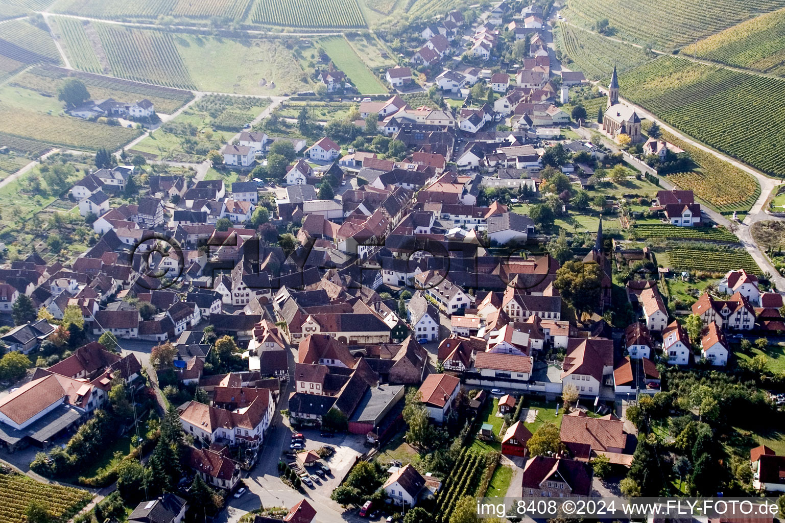 Bird's eye view of Birkweiler in the state Rhineland-Palatinate, Germany