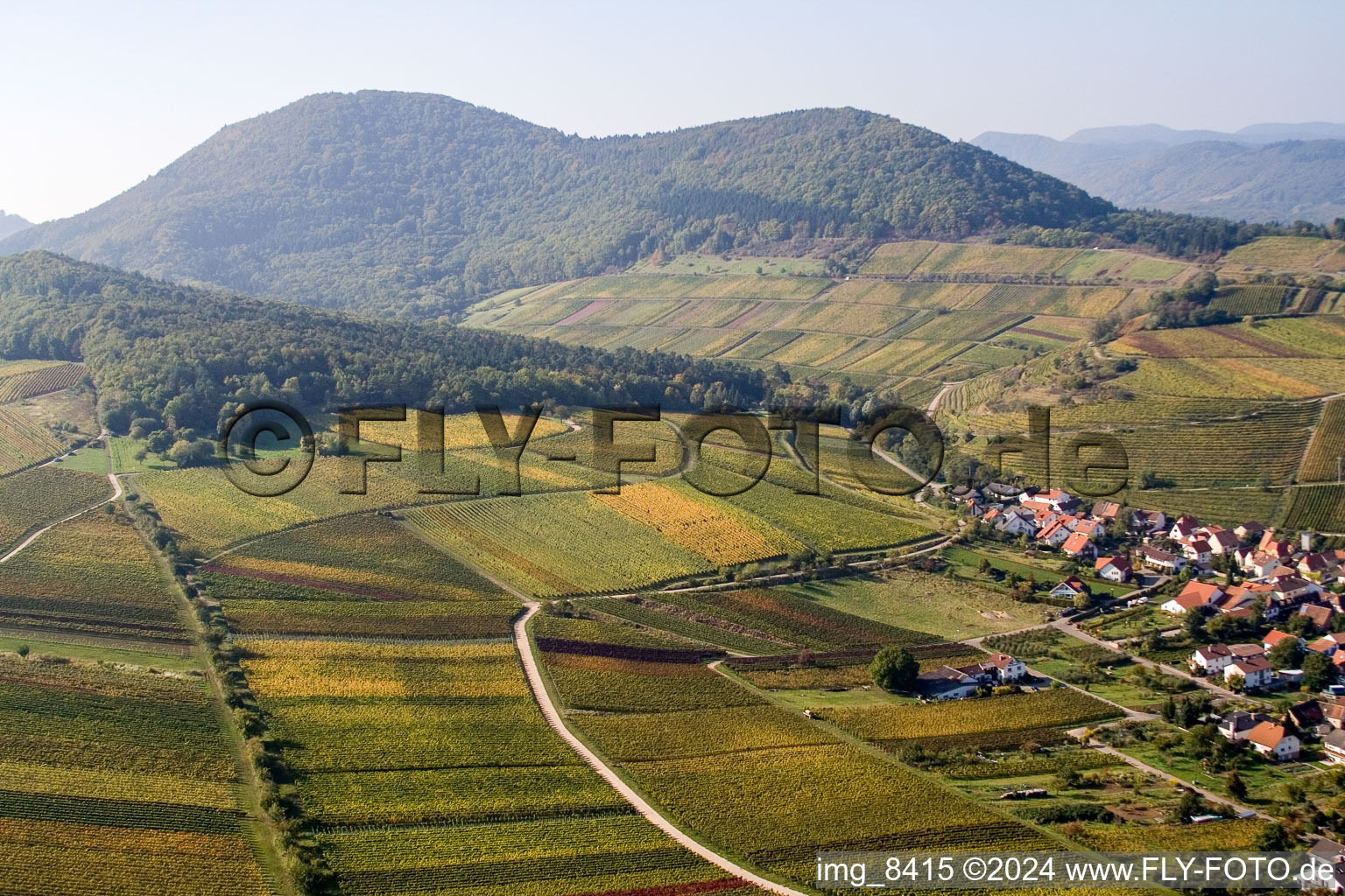 Drone recording of Chestnut bush in Birkweiler in the state Rhineland-Palatinate, Germany