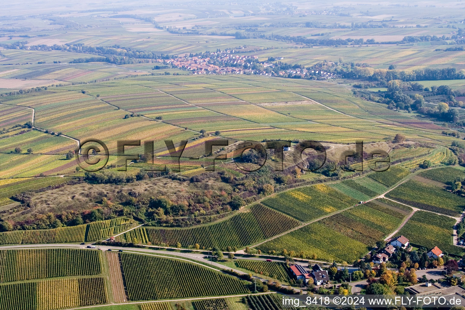 Small Kalmit in Ilbesheim bei Landau in der Pfalz in the state Rhineland-Palatinate, Germany out of the air