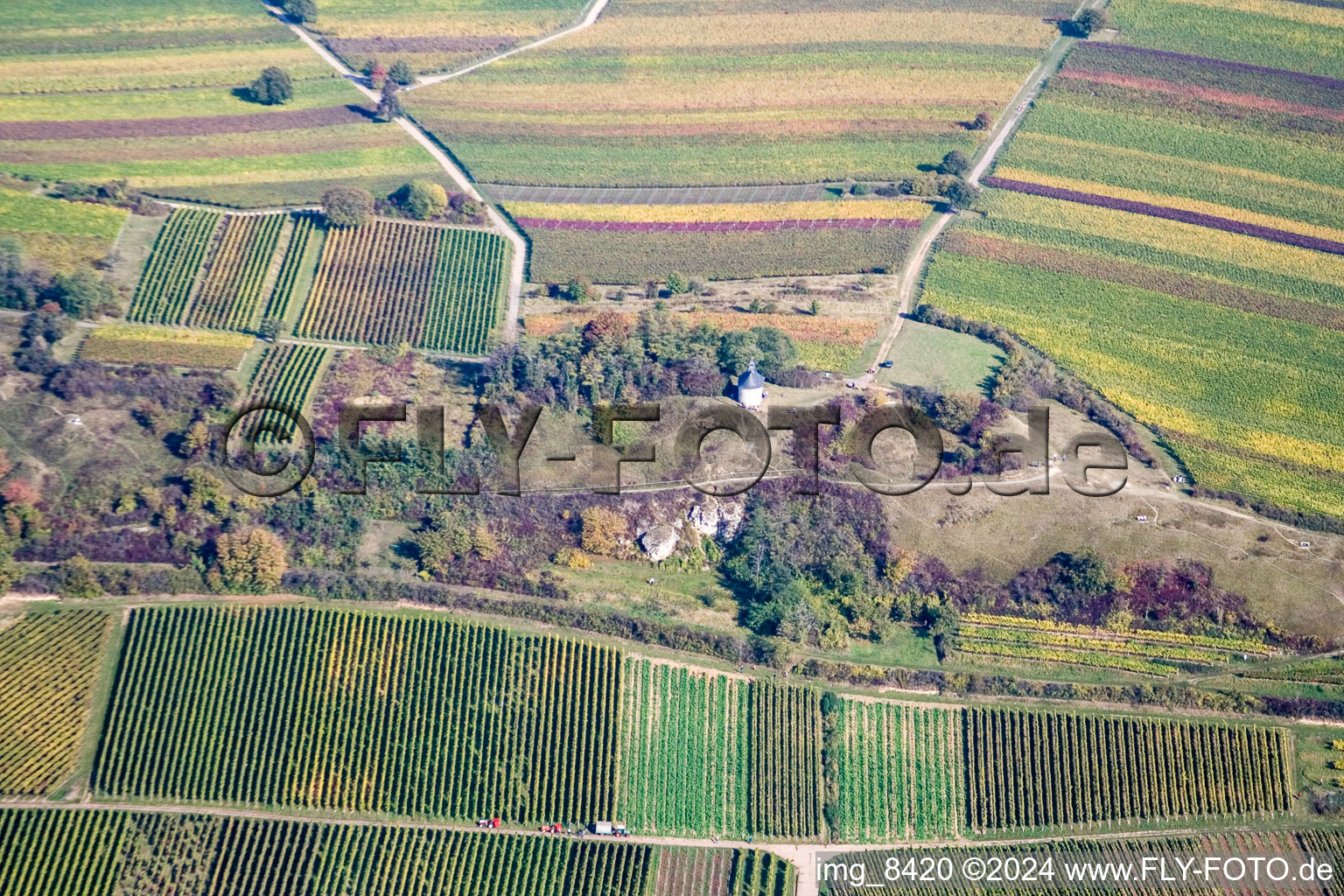 Small Kalmit in Ilbesheim bei Landau in der Pfalz in the state Rhineland-Palatinate, Germany seen from above