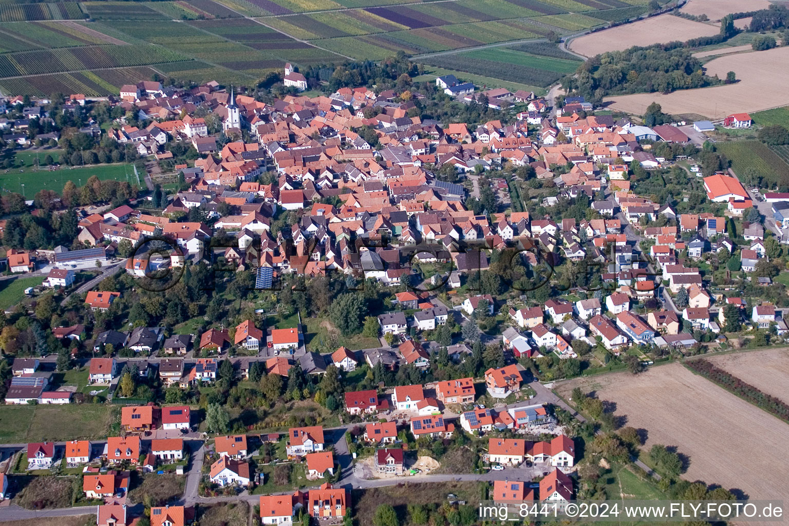 District Mörzheim in Landau in der Pfalz in the state Rhineland-Palatinate, Germany from the drone perspective