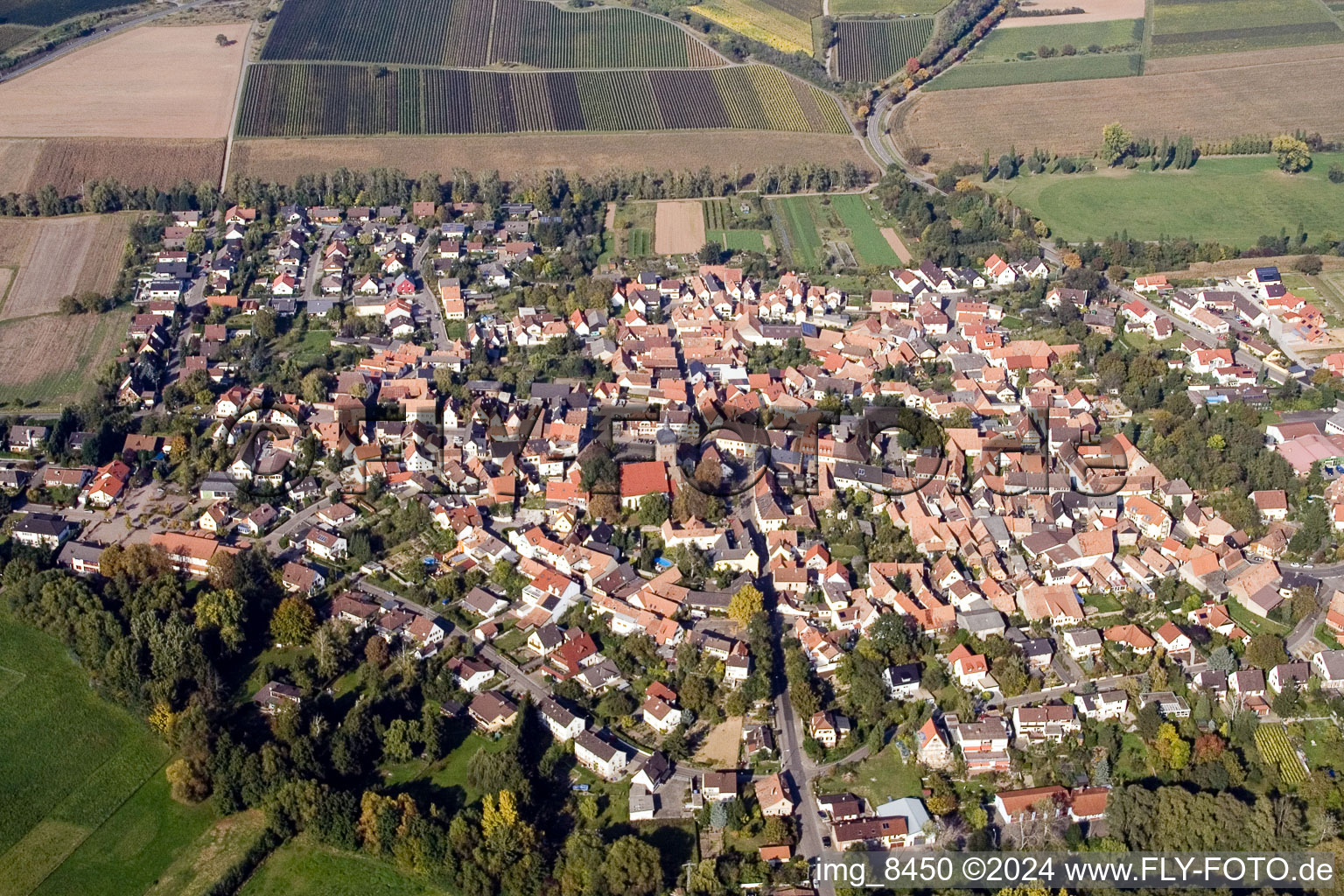 District Billigheim in Billigheim-Ingenheim in the state Rhineland-Palatinate, Germany from the drone perspective