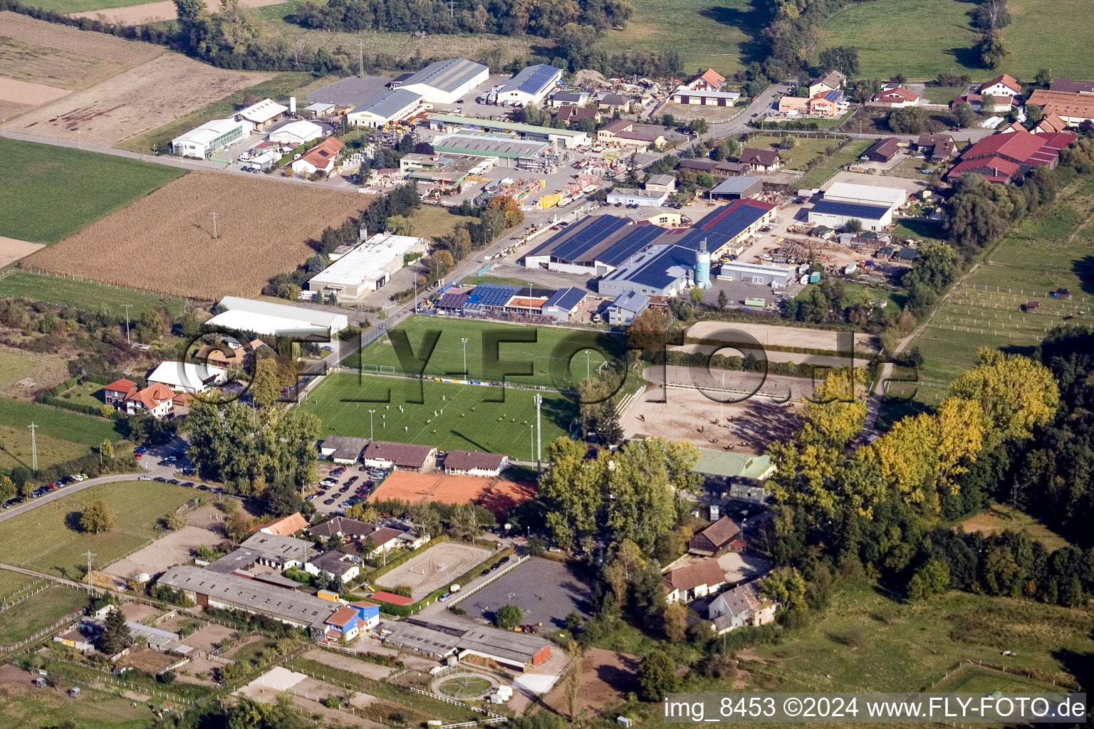 District Billigheim in Billigheim-Ingenheim in the state Rhineland-Palatinate, Germany from a drone