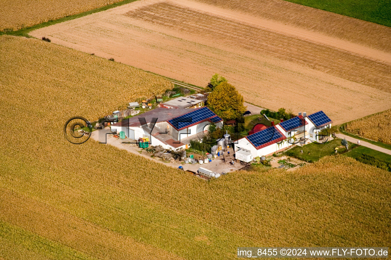 Rosenhof in Steinweiler in the state Rhineland-Palatinate, Germany out of the air