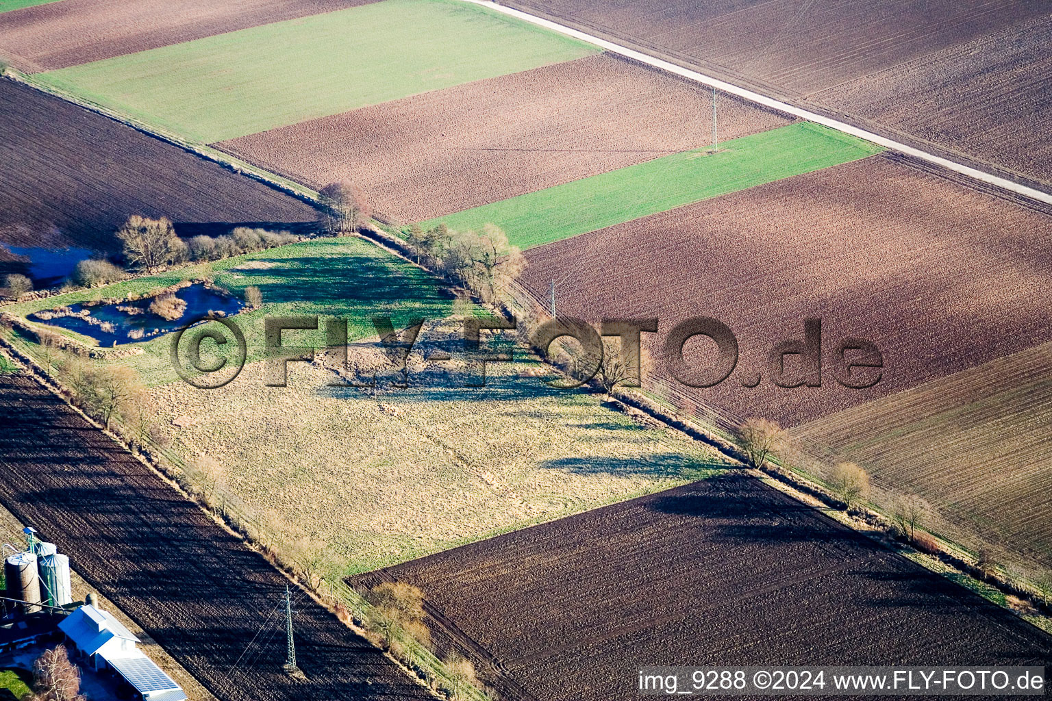 O of Steinweiler in Steinweiler in the state Rhineland-Palatinate, Germany