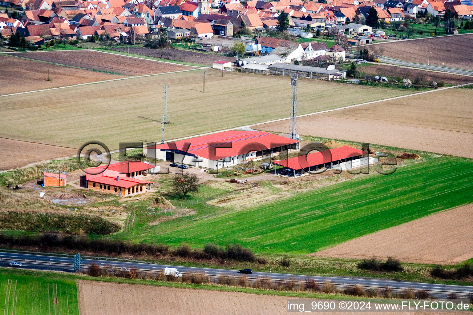 Chicken farm egg farm in Erlenbach bei Kandel in the state Rhineland-Palatinate, Germany viewn from the air