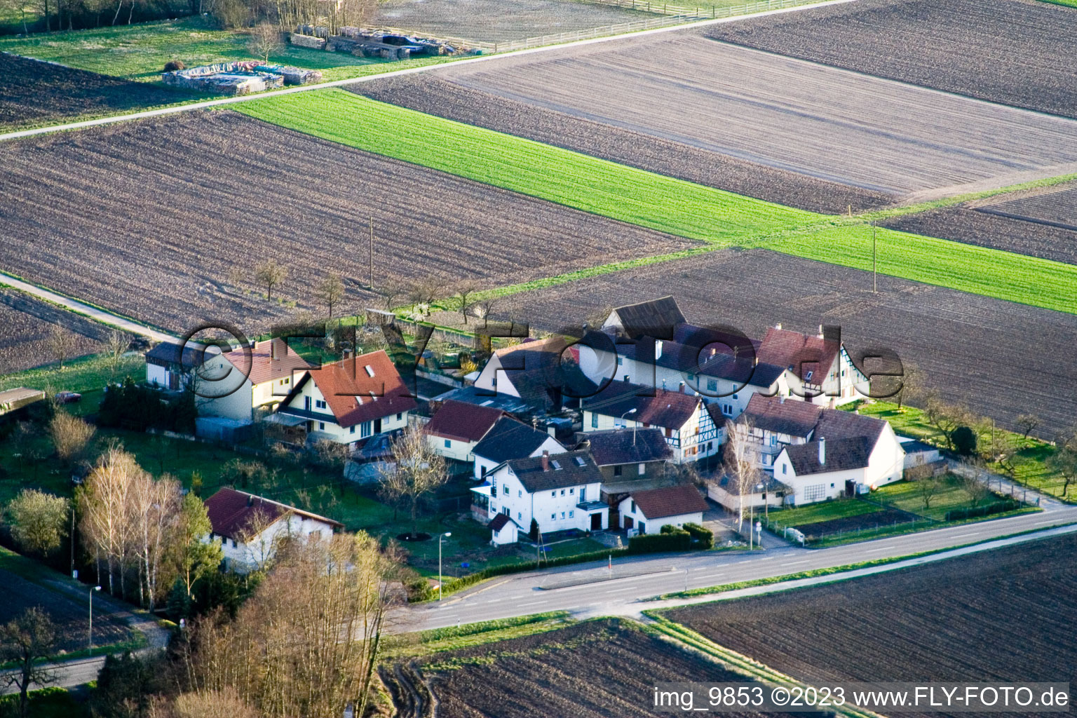 Welschhof in Minfeld in the state Rhineland-Palatinate, Germany seen from above