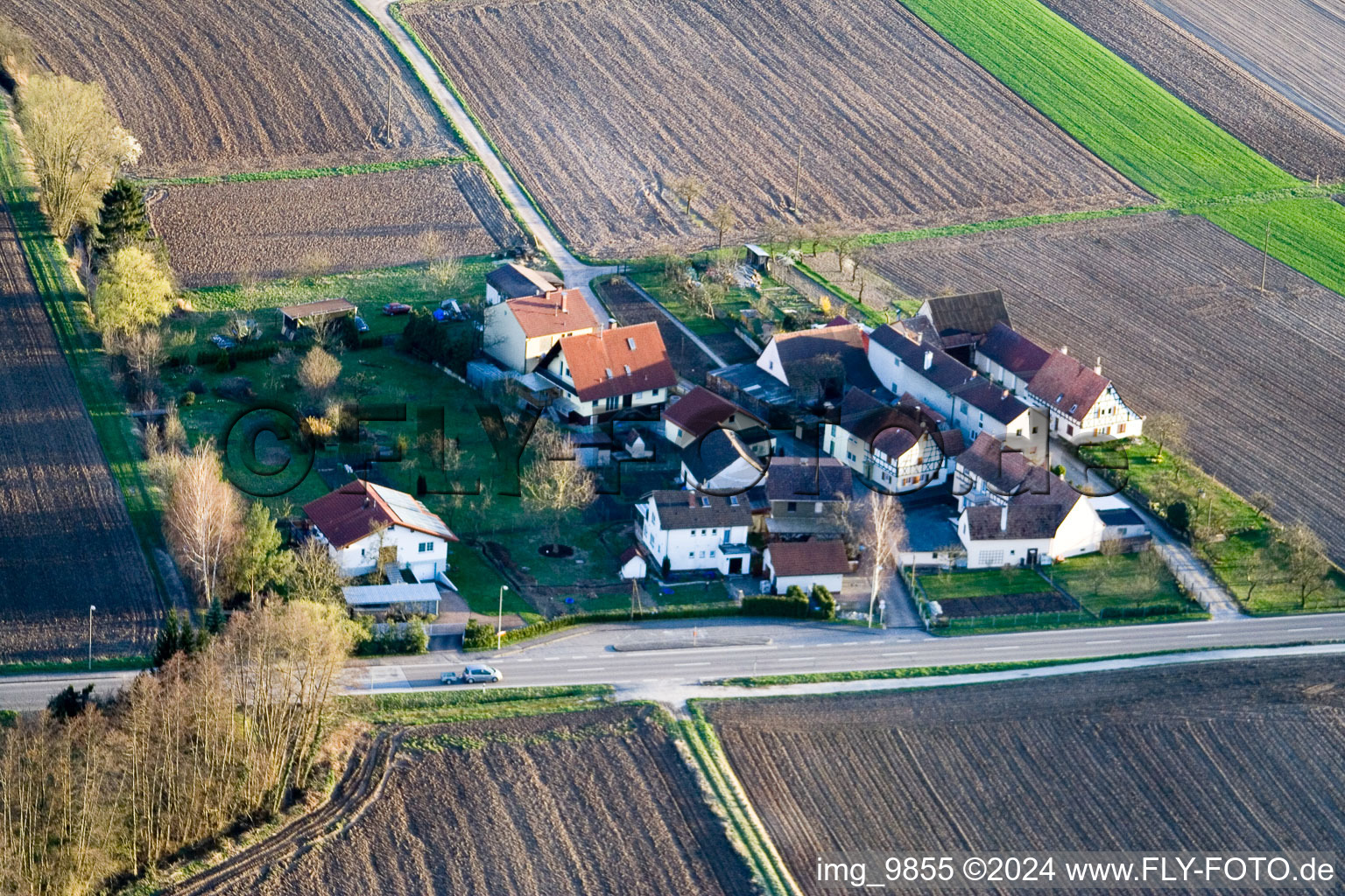 Bird's eye view of Welschhof in Minfeld in the state Rhineland-Palatinate, Germany