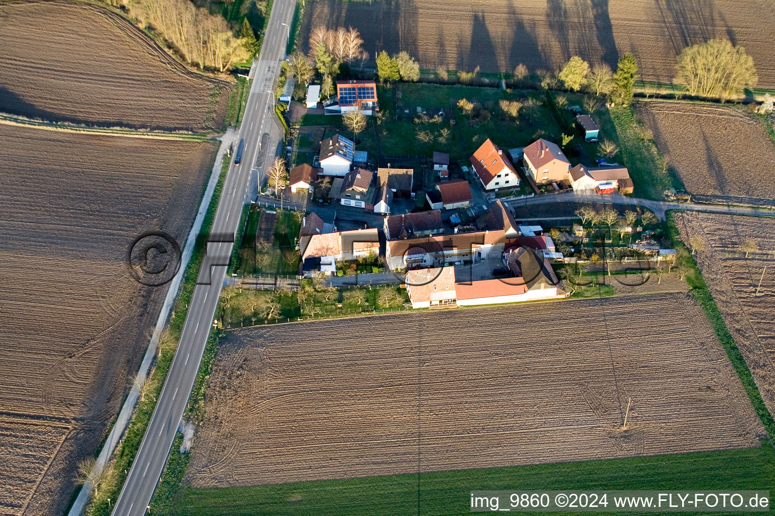 Welschhof in Minfeld in the state Rhineland-Palatinate, Germany from a drone