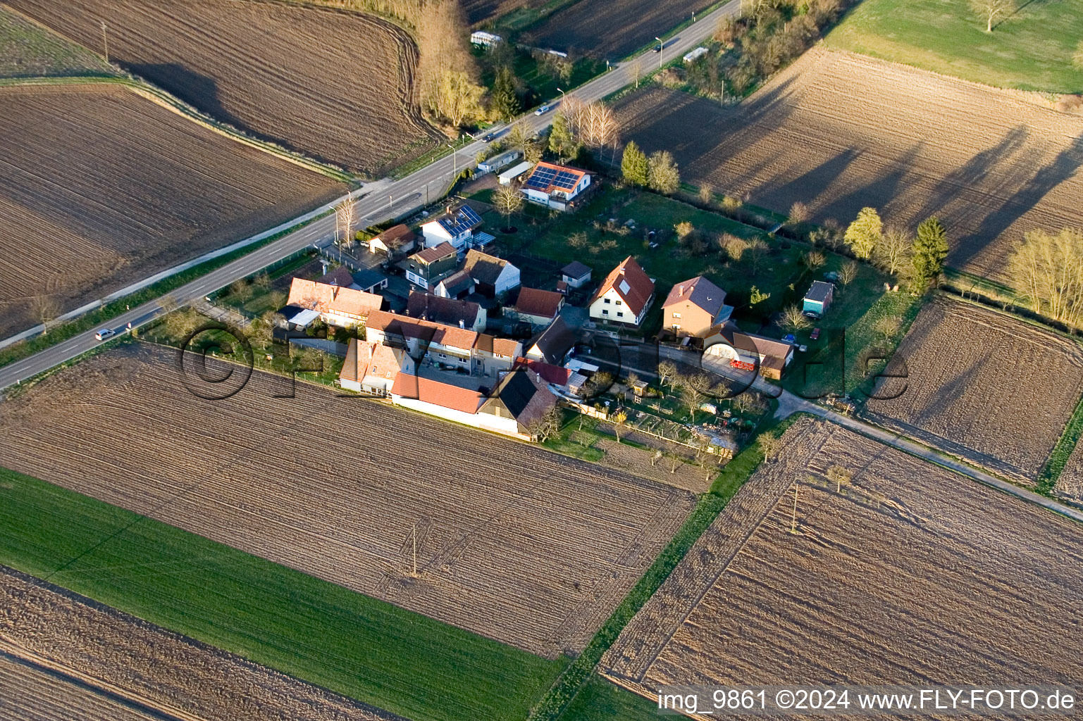 Welschhof in Minfeld in the state Rhineland-Palatinate, Germany seen from a drone