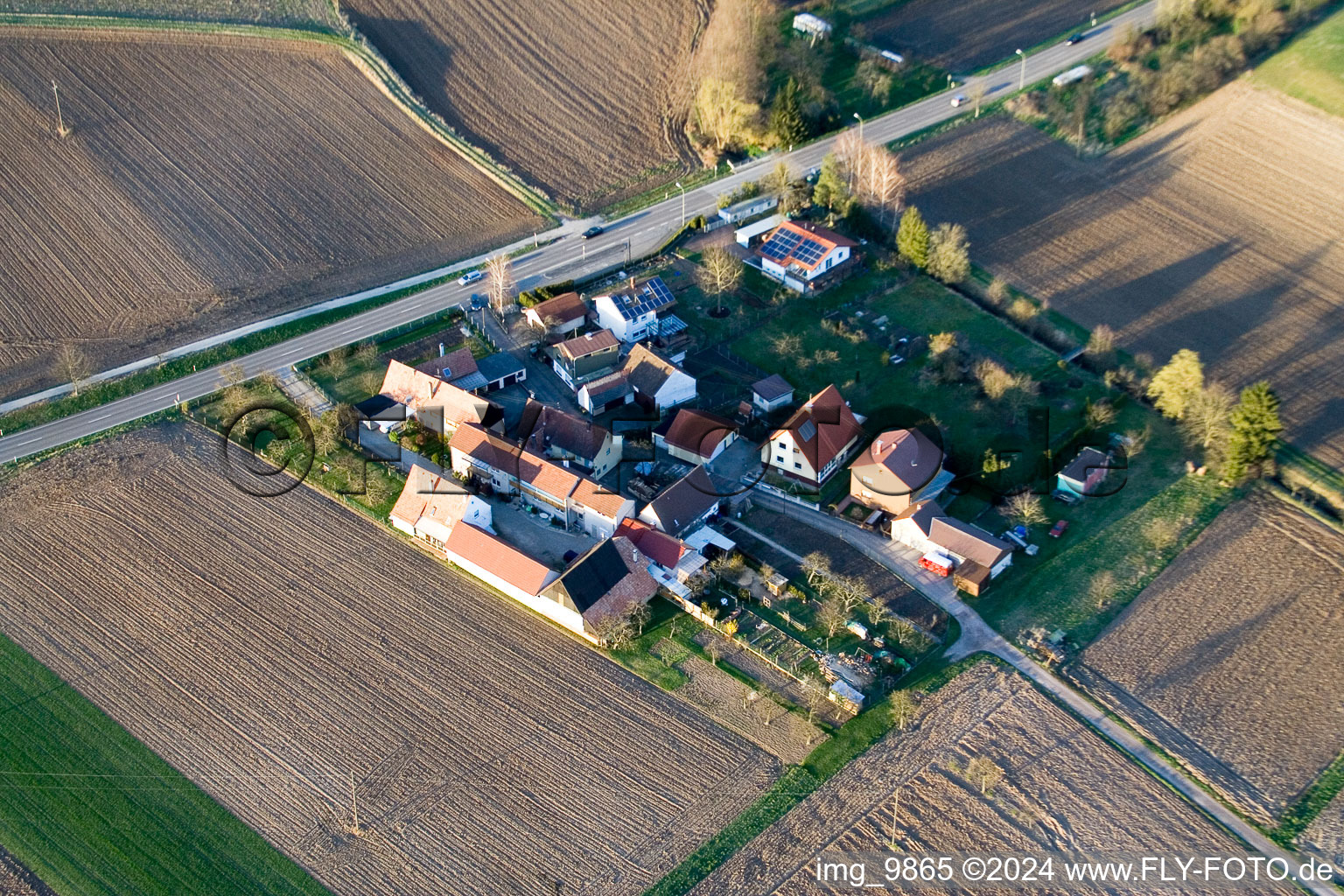 Oblique view of Welschhof in Minfeld in the state Rhineland-Palatinate, Germany