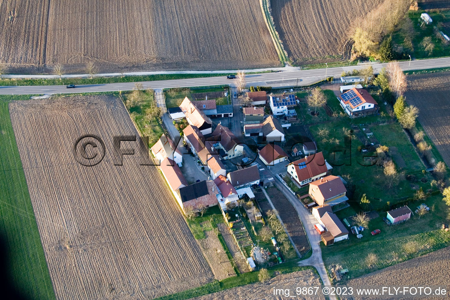 Welschhof in Minfeld in the state Rhineland-Palatinate, Germany from above
