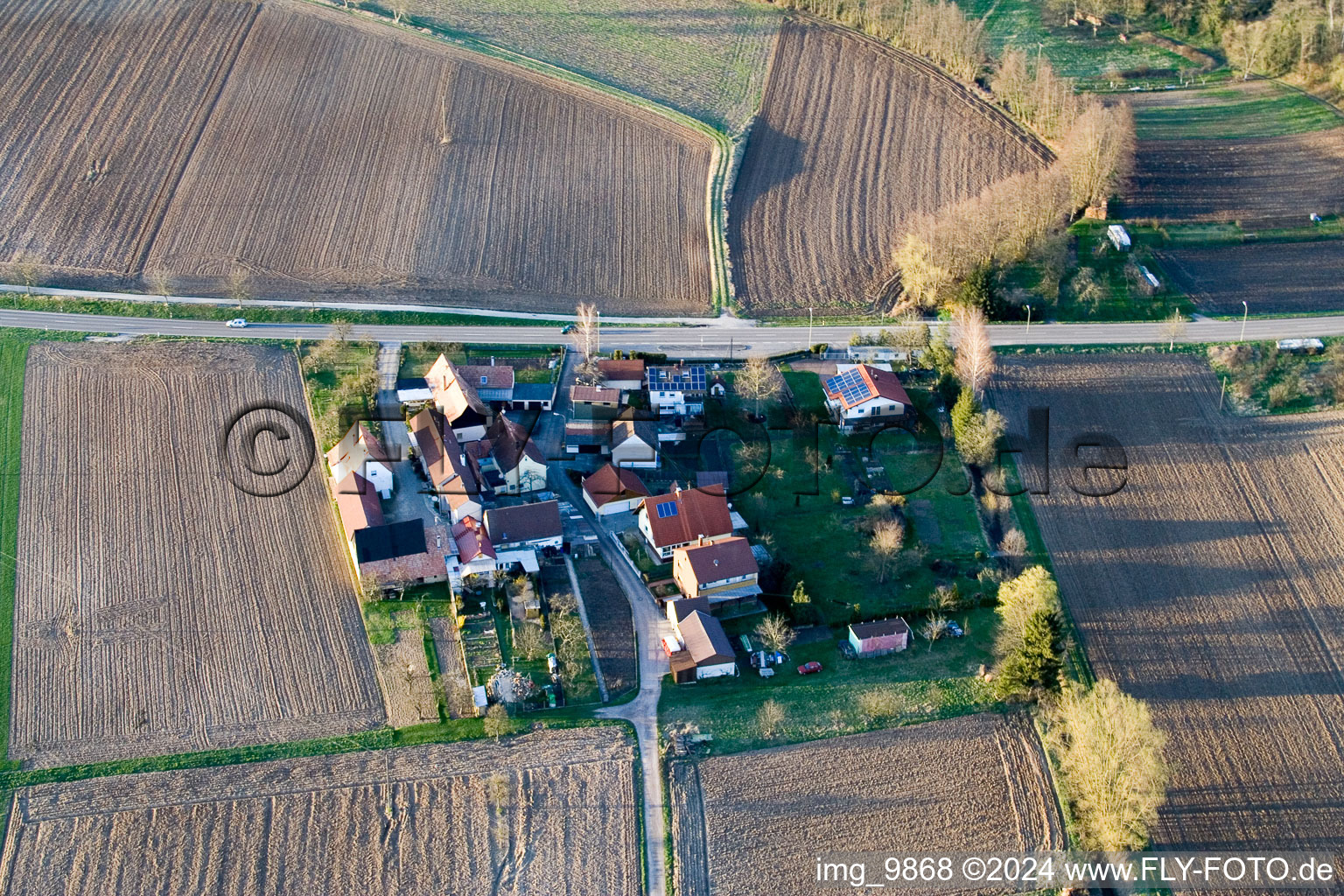 Welschhof in Minfeld in the state Rhineland-Palatinate, Germany out of the air