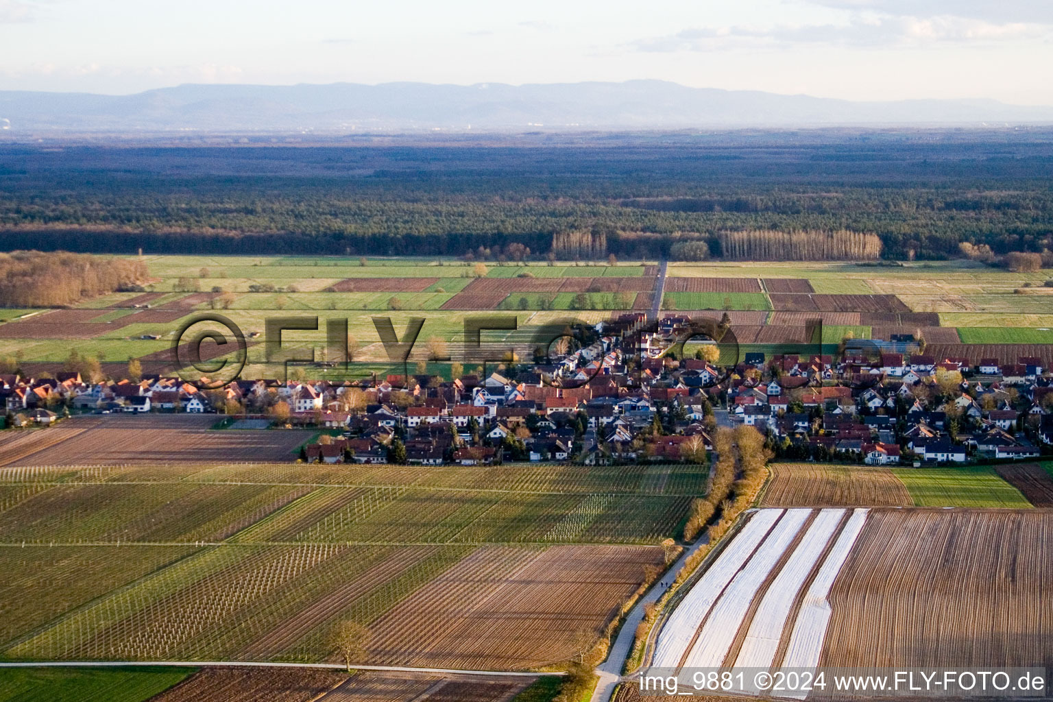 Oblique view of Freckenfeld in the state Rhineland-Palatinate, Germany