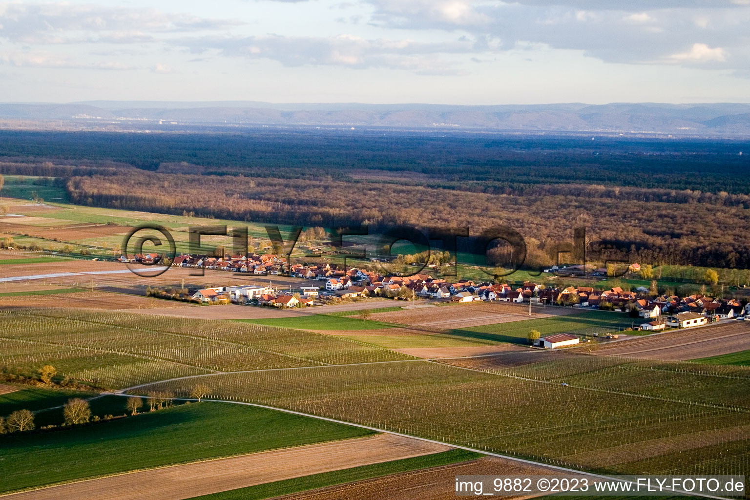 Freckenfeld in the state Rhineland-Palatinate, Germany from above