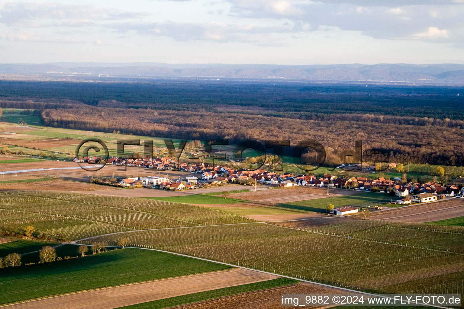 Freckenfeld in the state Rhineland-Palatinate, Germany from above