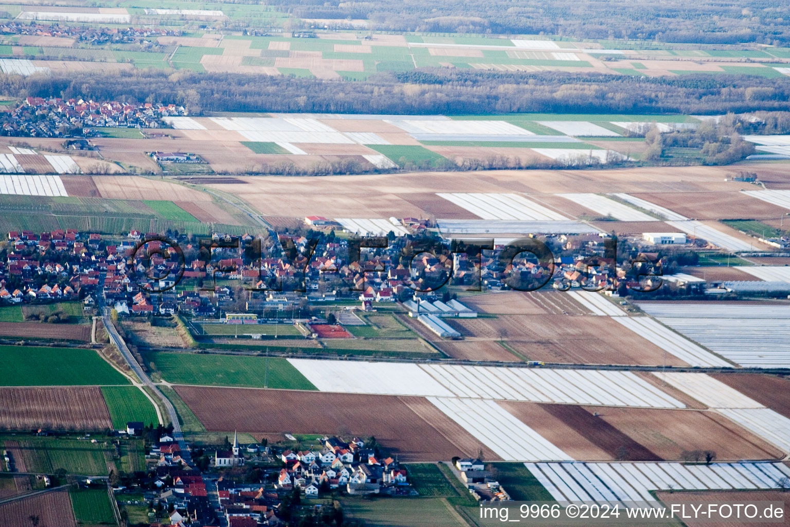 Oblique view of Niederlustadt in Lustadt in the state Rhineland-Palatinate, Germany