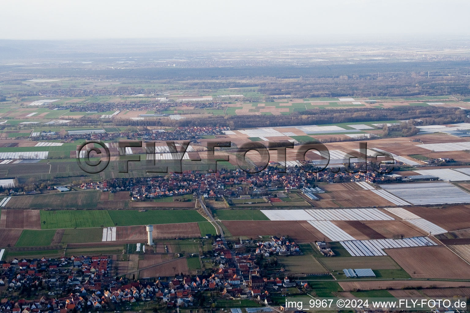 Village - view on the edge of agricultural fields and farmland in Weingarten (Pfalz) in the state Rhineland-Palatinate, Germany from above