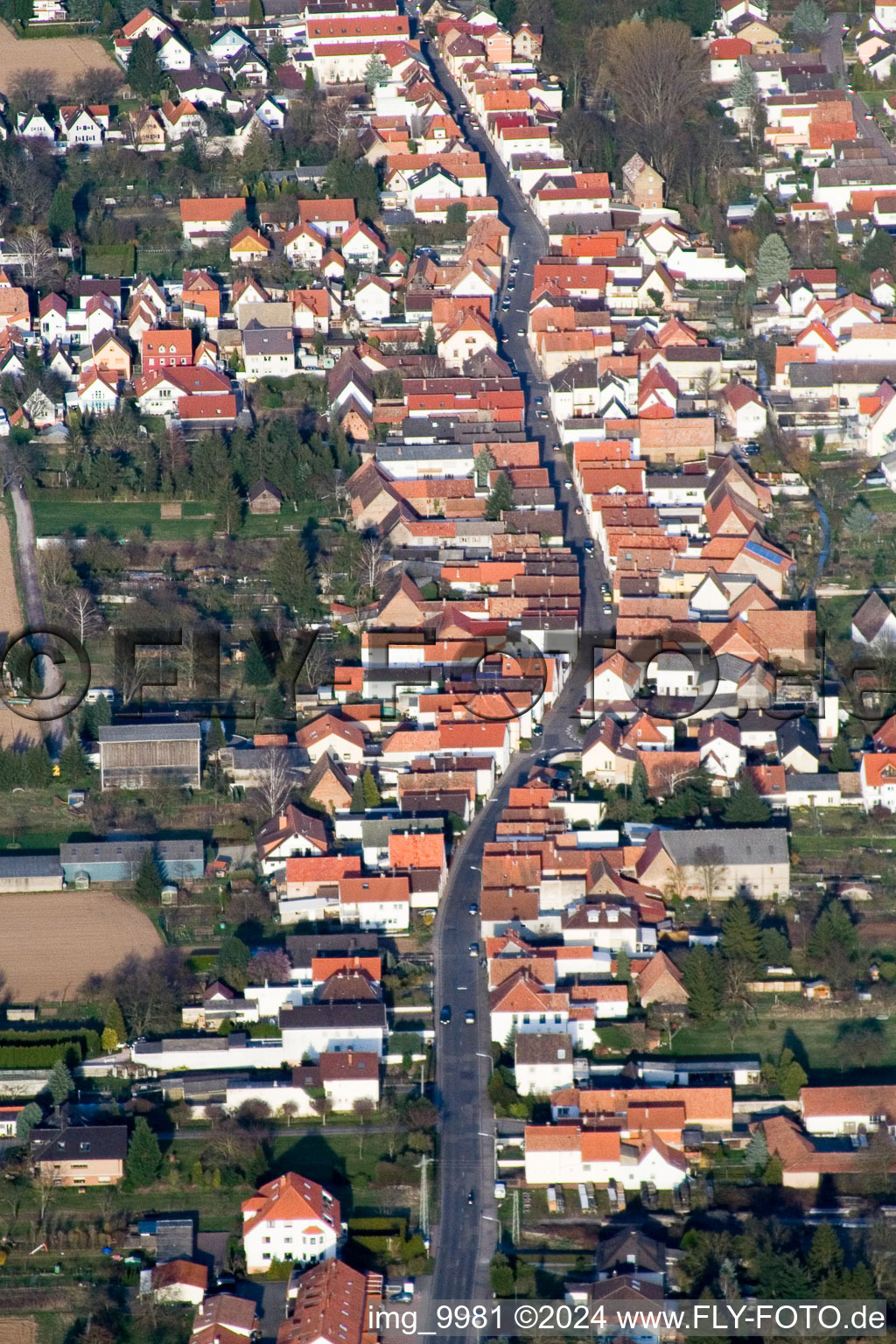 Lingenfeld in the state Rhineland-Palatinate, Germany from the plane