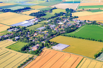 From the north in Schülp in the state Schleswig Holstein, Germany