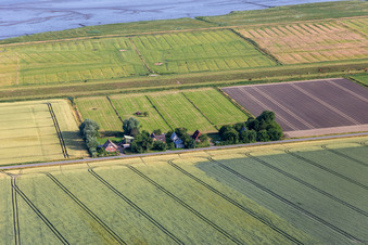 Former dike keepers' farms on Schülpersieler Straße in Wesselburenerkoog in the state Schleswig Holstein, Germany