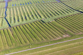 Ehstensiel in Tating in the state Schleswig Holstein, Germany