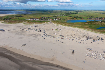Aerial view of Beach chair on the sandy beach ranks in the coastal area of North Sea in the district Sankt Peter-Ording in Sankt Peter-Ording in the state Schleswig-Holstein, Germany