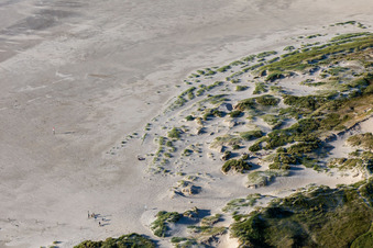 Dunes at the dog beach in the district Ording in Sankt Peter-Ording in the state Schleswig Holstein, Germany