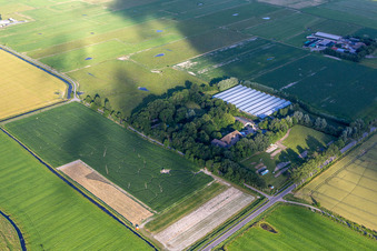 Aerial view of Corn Maze Kühl in the district Hülkenbüll in Garding in the state Schleswig Holstein, Germany