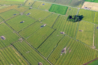 Fields interspersed with small ponds in the district Kating in Tönning in the state Schleswig Holstein, Germany
