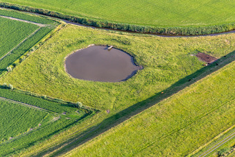Cattle watering pond in Wesselburenerkoog in the state Schleswig Holstein, Germany