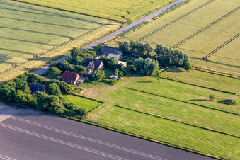 Former dike keepers' farms on Schülpersieler Straße in Wesselburenerkoog in the state Schleswig Holstein, Germany from above