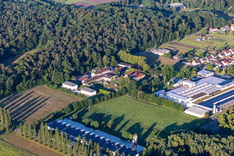 Webasto Mechatronics in the district Schaidt in Wörth am Rhein in the state Rhineland-Palatinate, Germany