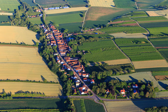 From the east in Vollmersweiler in the state Rhineland-Palatinate, Germany