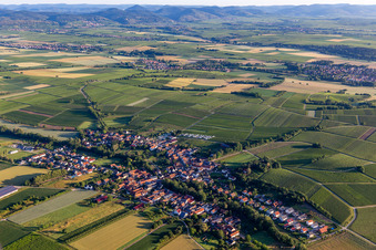 Village - view on the edge of agricultural fields and farmland in Dierbach in the state Rhineland-Palatinate
