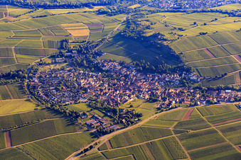 Wine-growing village on the Kleine Kalmit from the south in Ilbesheim bei Landau in the state Rhineland-Palatinate, Germany