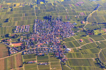 From the south in the district Nußdorf in Landau in der Pfalz in the state Rhineland-Palatinate, Germany