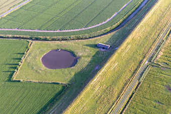 Aerial view of Dithmarscher Eider Foreland in the district Schülper Neuensiel in Wesselburenerkoog in the state Schleswig Holstein, Germany