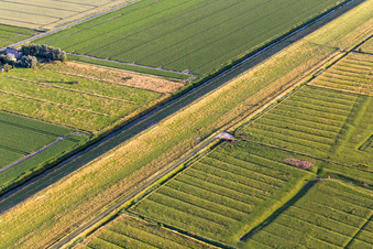 Farms behind the dike in Wesselburenerkoog in the state Schleswig Holstein, Germany