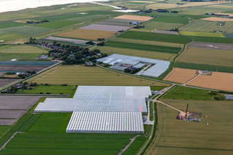 Aerial view of Hermann Diner in Schülp in the state Schleswig Holstein, Germany