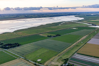 Schülpersieler Street in the district Schülperweide in Wesselburenerkoog in the state Schleswig Holstein, Germany from a drone