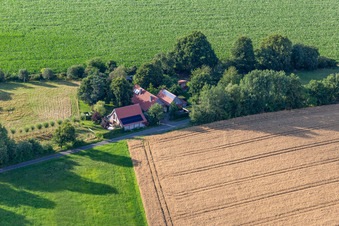 Farm on Uhlandweg in the district Tungerloh-Pröbsting in Gescher in the state North Rhine-Westphalia, Germany from above