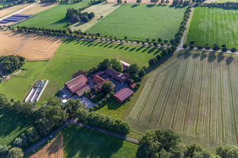 Oblique view of Lanfer's Melkschöppken in the district Tungerloh-Pröbsting in Gescher in the state North Rhine-Westphalia, Germany