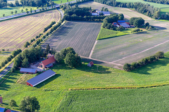 Farm on the L608 in the district Tungerloh-Pröbsting in Gescher in the state North Rhine-Westphalia, Germany