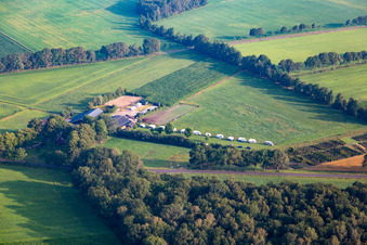 Camping De Nieuwe Bosplaats in Haaksbergen in the state Overijssel, Netherlands
