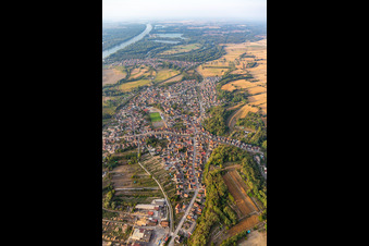 Village on the river bank areas of the Rhine river in Mothern in Grand Est, France