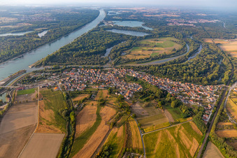 River Delta and estuary of Lauter in den Rhein in Munchhausen in Grand Est, France